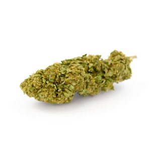 Critical Mass CBD Glasshouse