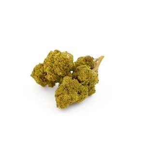 Kanna TSU small buds CBD glasshouse