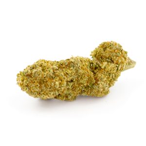 Mango Haze CBD Indoor Hydro