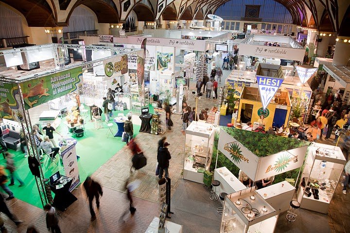 CBD Royal sera au Cannafest Prague 2025 2 cannafest prague 2025