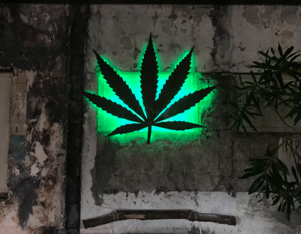 Jaké události kolem CBD čekají v listopadu 2025? 1 evenements cbd novembre 2025