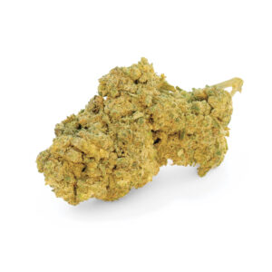 Critical2-0-Indoor-Hydro